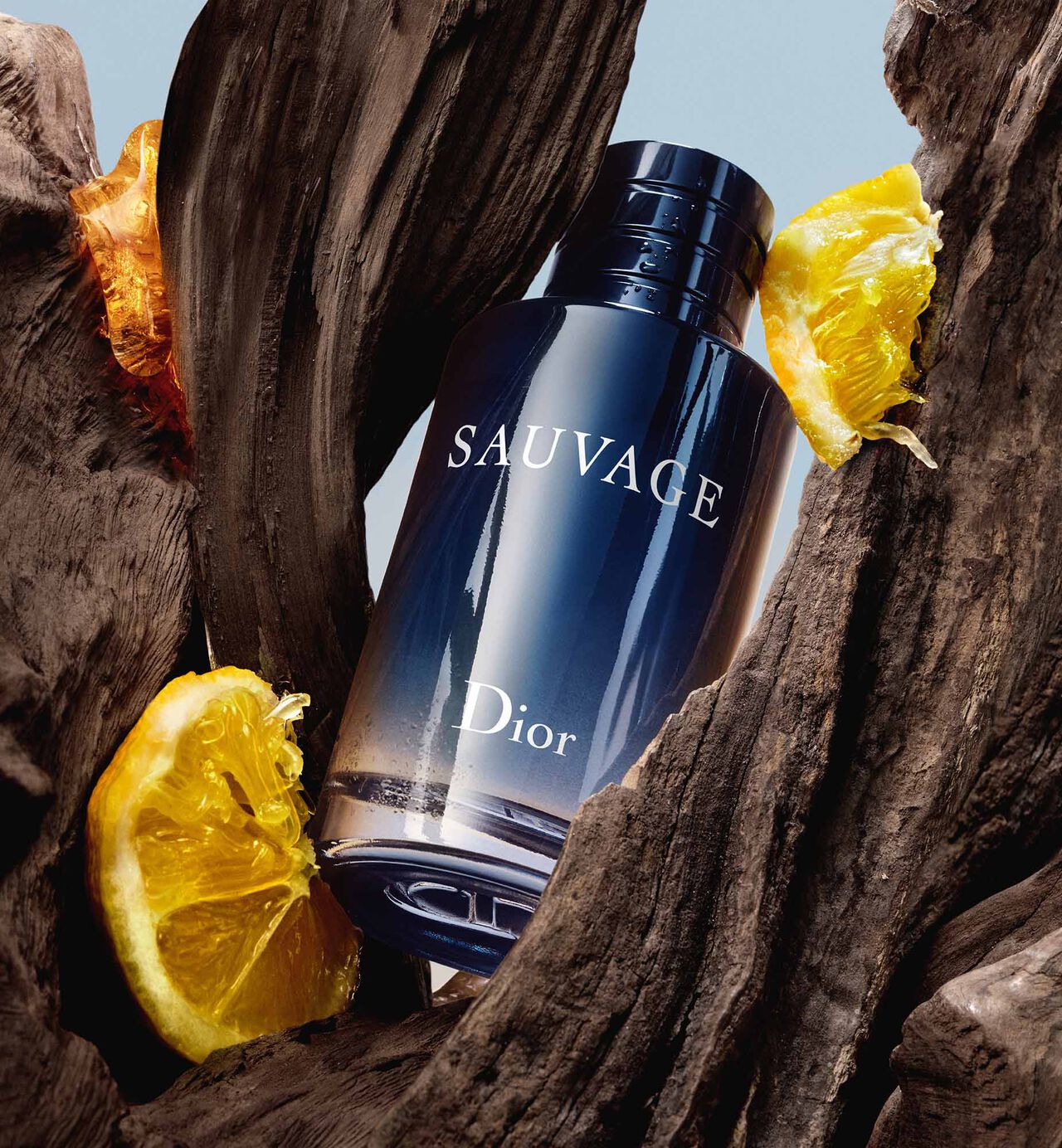 Dior Sauvage Eau De Perfume | Edp | Long Lasting Fragrance 100ml | Best Quality Perfume GlowTech Essentials